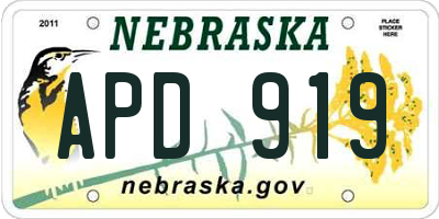 NE license plate APD919