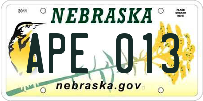 NE license plate APE013