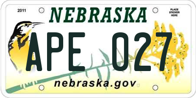NE license plate APE027