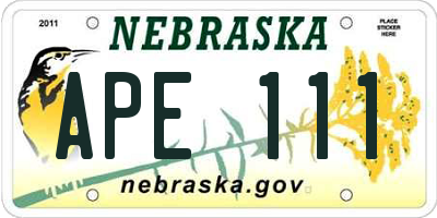 NE license plate APE111