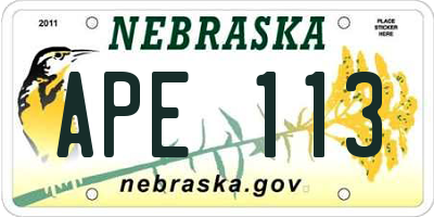 NE license plate APE113