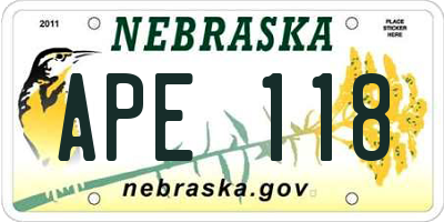 NE license plate APE118