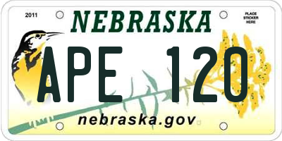 NE license plate APE120