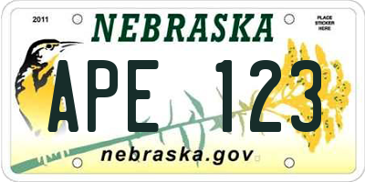 NE license plate APE123
