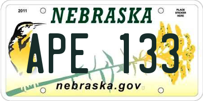 NE license plate APE133