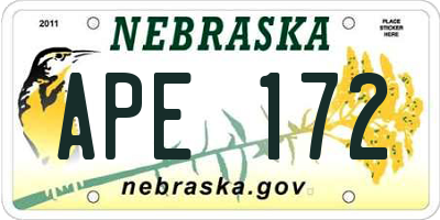 NE license plate APE172