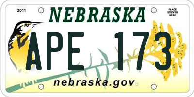 NE license plate APE173