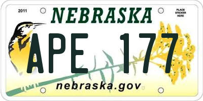 NE license plate APE177