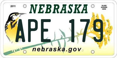 NE license plate APE179