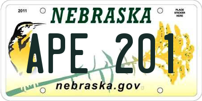 NE license plate APE201