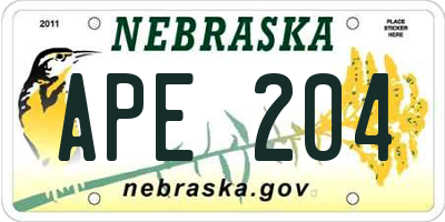 NE license plate APE204