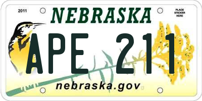NE license plate APE211