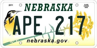 NE license plate APE217