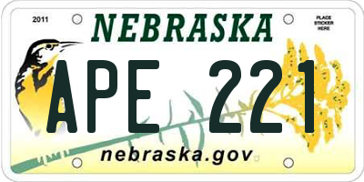 NE license plate APE221