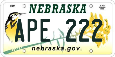 NE license plate APE222