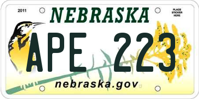 NE license plate APE223