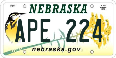 NE license plate APE224