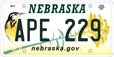 NE license plate APE229