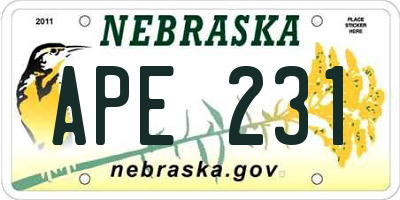 NE license plate APE231