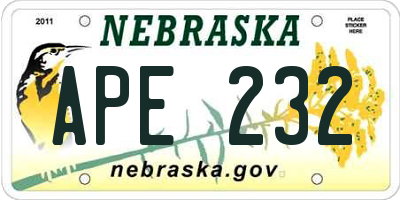 NE license plate APE232