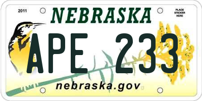 NE license plate APE233