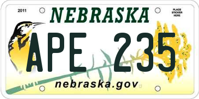 NE license plate APE235