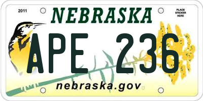 NE license plate APE236
