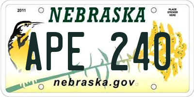 NE license plate APE240