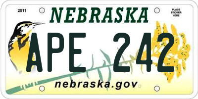 NE license plate APE242