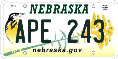 NE license plate APE243