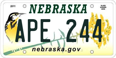 NE license plate APE244