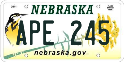 NE license plate APE245