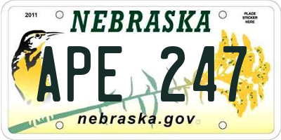 NE license plate APE247