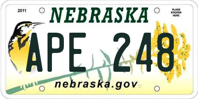 NE license plate APE248