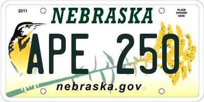 NE license plate APE250