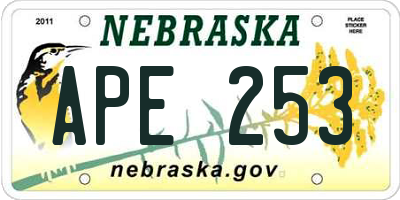 NE license plate APE253