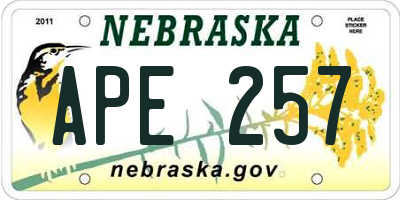 NE license plate APE257