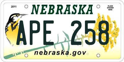 NE license plate APE258