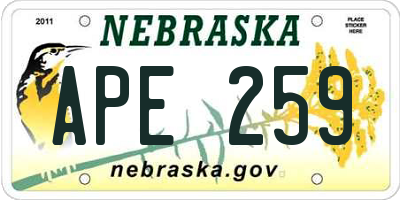 NE license plate APE259