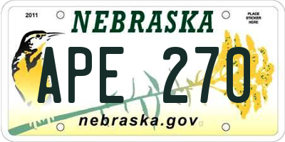 NE license plate APE270