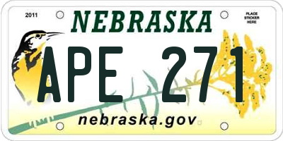 NE license plate APE271
