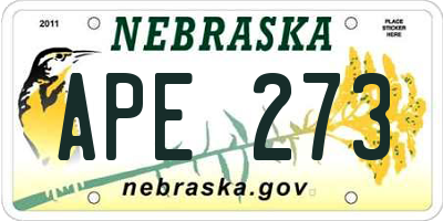 NE license plate APE273