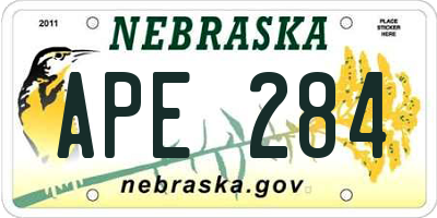 NE license plate APE284