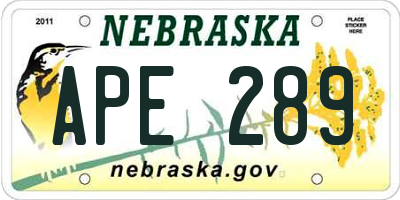 NE license plate APE289