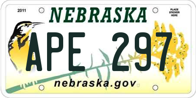 NE license plate APE297