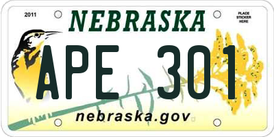 NE license plate APE301