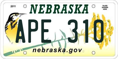 NE license plate APE310