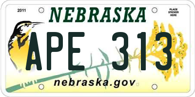 NE license plate APE313