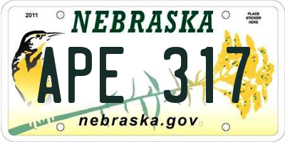 NE license plate APE317