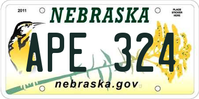 NE license plate APE324
